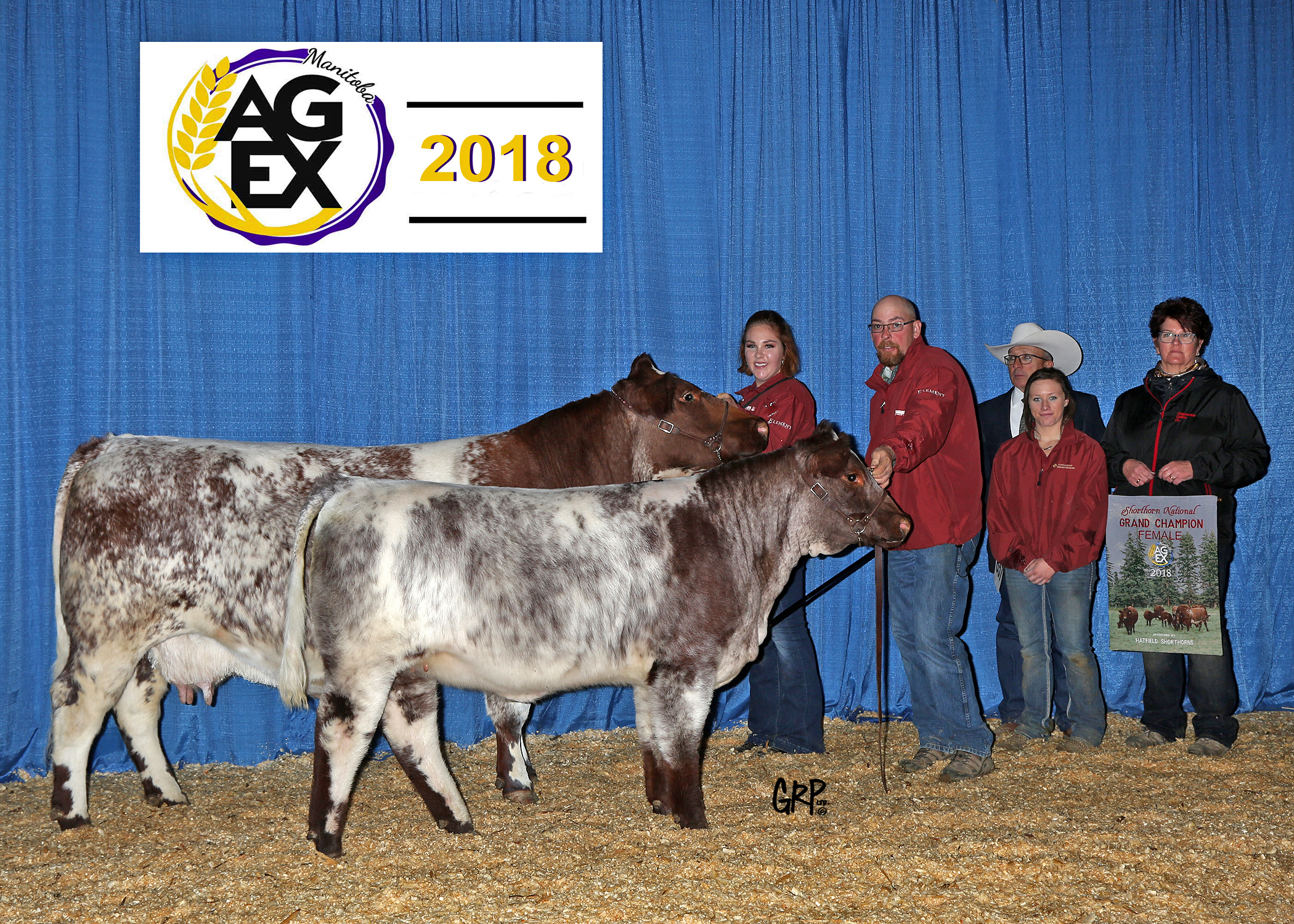 2GRP0480_Ch SH Female