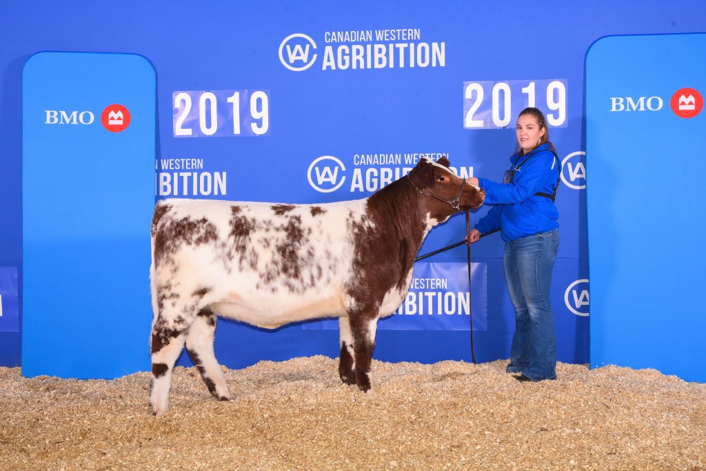 ACC Candy's Gumdrop 5G